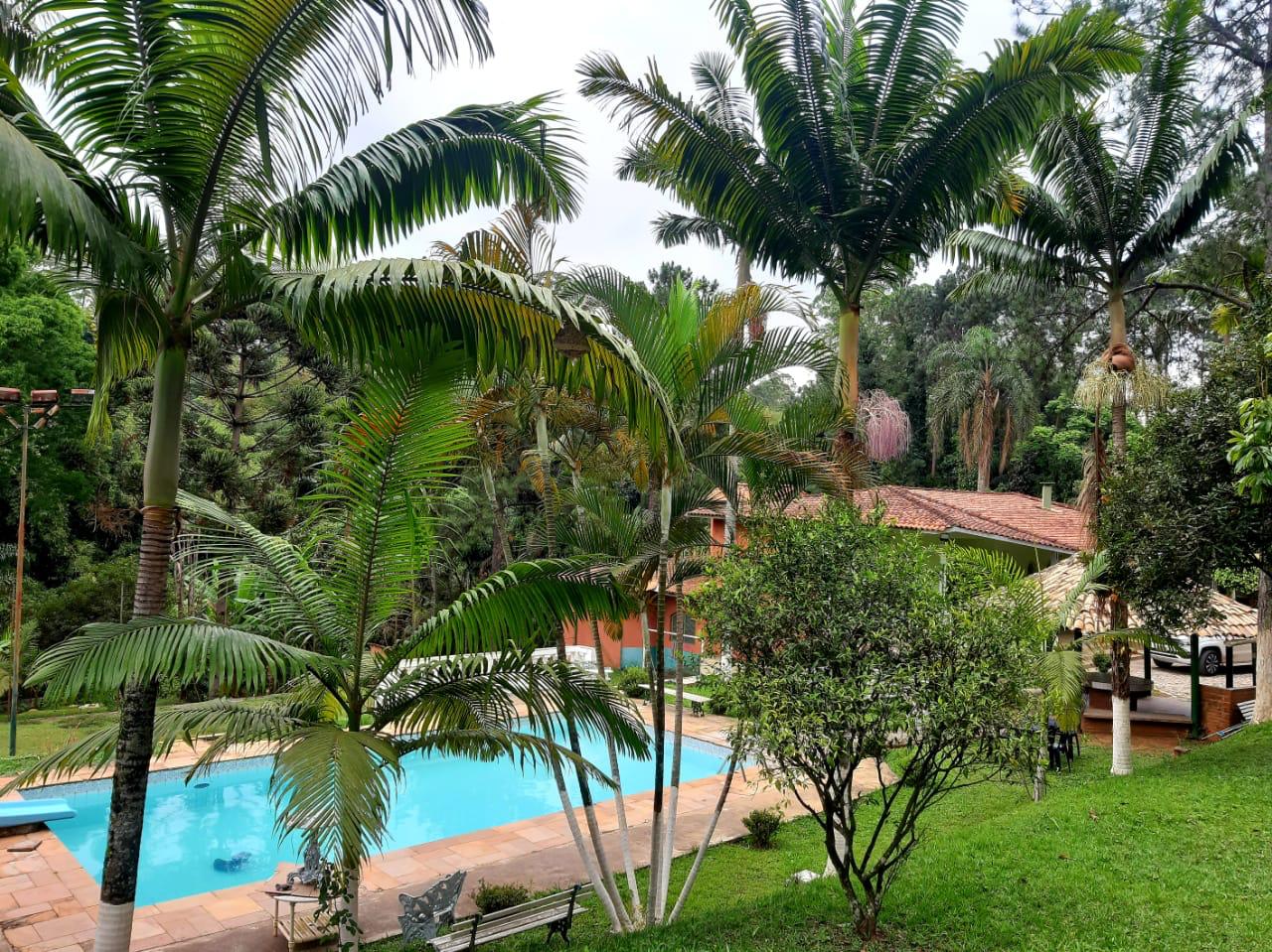 Clinicas de Recuperação em Foz do Iguaçu- PR